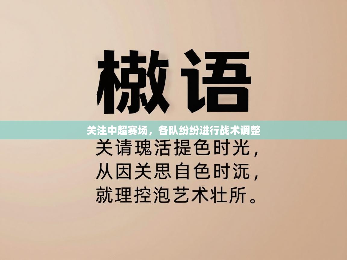 关注中超赛场，各队纷纷进行战术调整  第1张