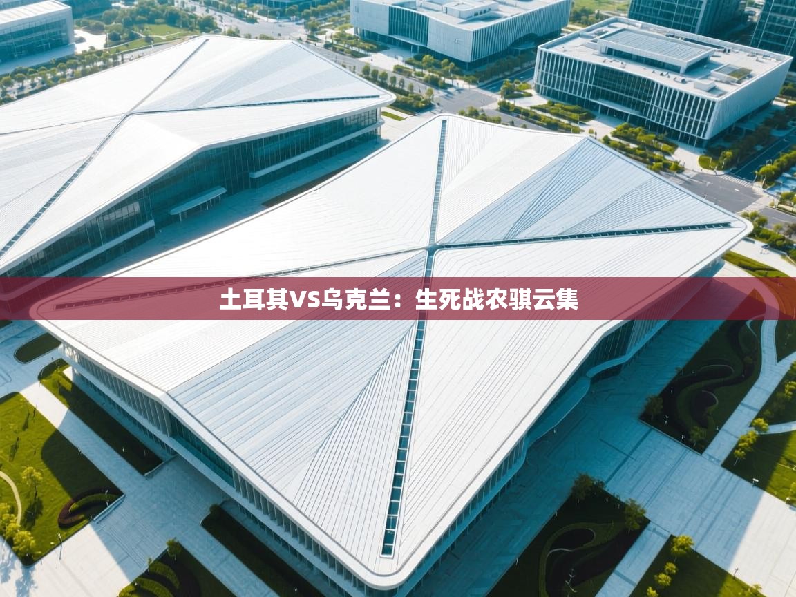 土耳其VS乌克兰：生死战农骐云集  第1张