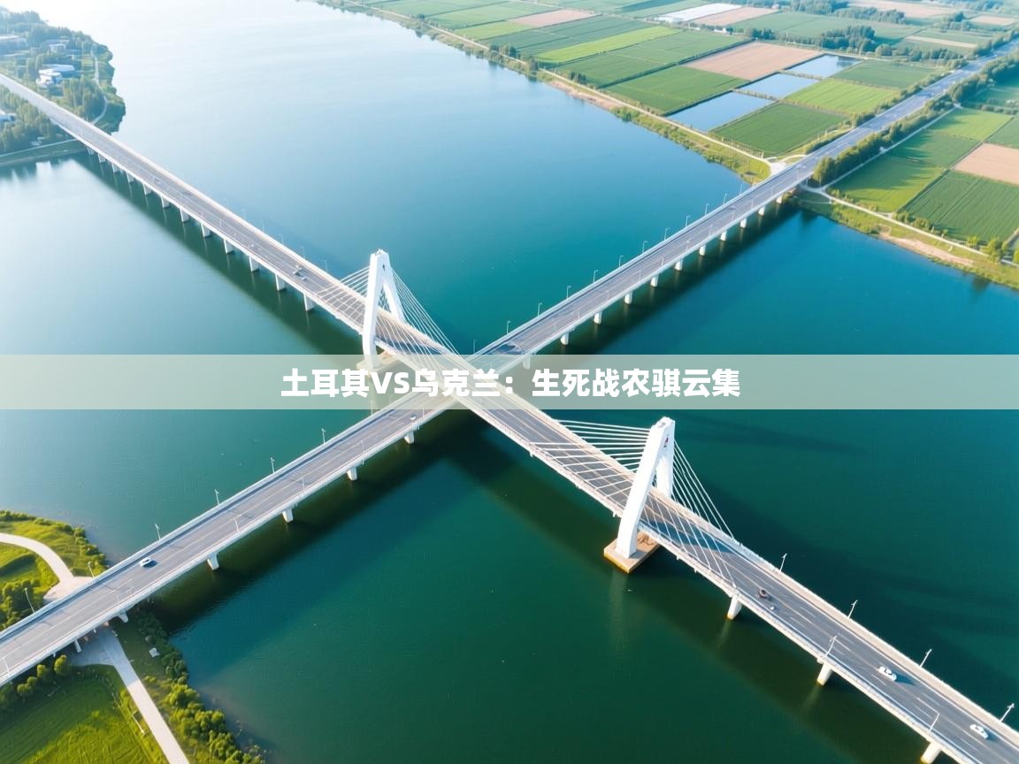 土耳其VS乌克兰：生死战农骐云集  第2张